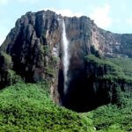 Arbres et cascades