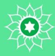 Chakra Coeur