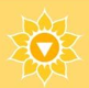 Chakra Plexus