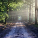 Se reconnecter avec la Nature