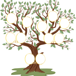family-tree-6095395_1280 family-tree-6095395_1280